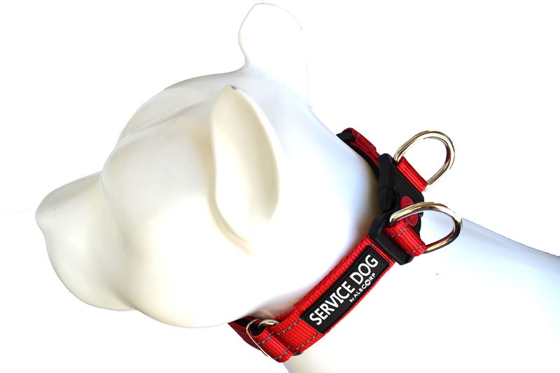 Albcorp Reflective Service Dog Collar â€“ Sizes XS to XL (8.6â€“28.7 Inches), Service Dog Rubber Patch, Neoprene-Padded Comfort & High-Visibility Gear for Dedicated Handlers, Medium, Red - Image 2